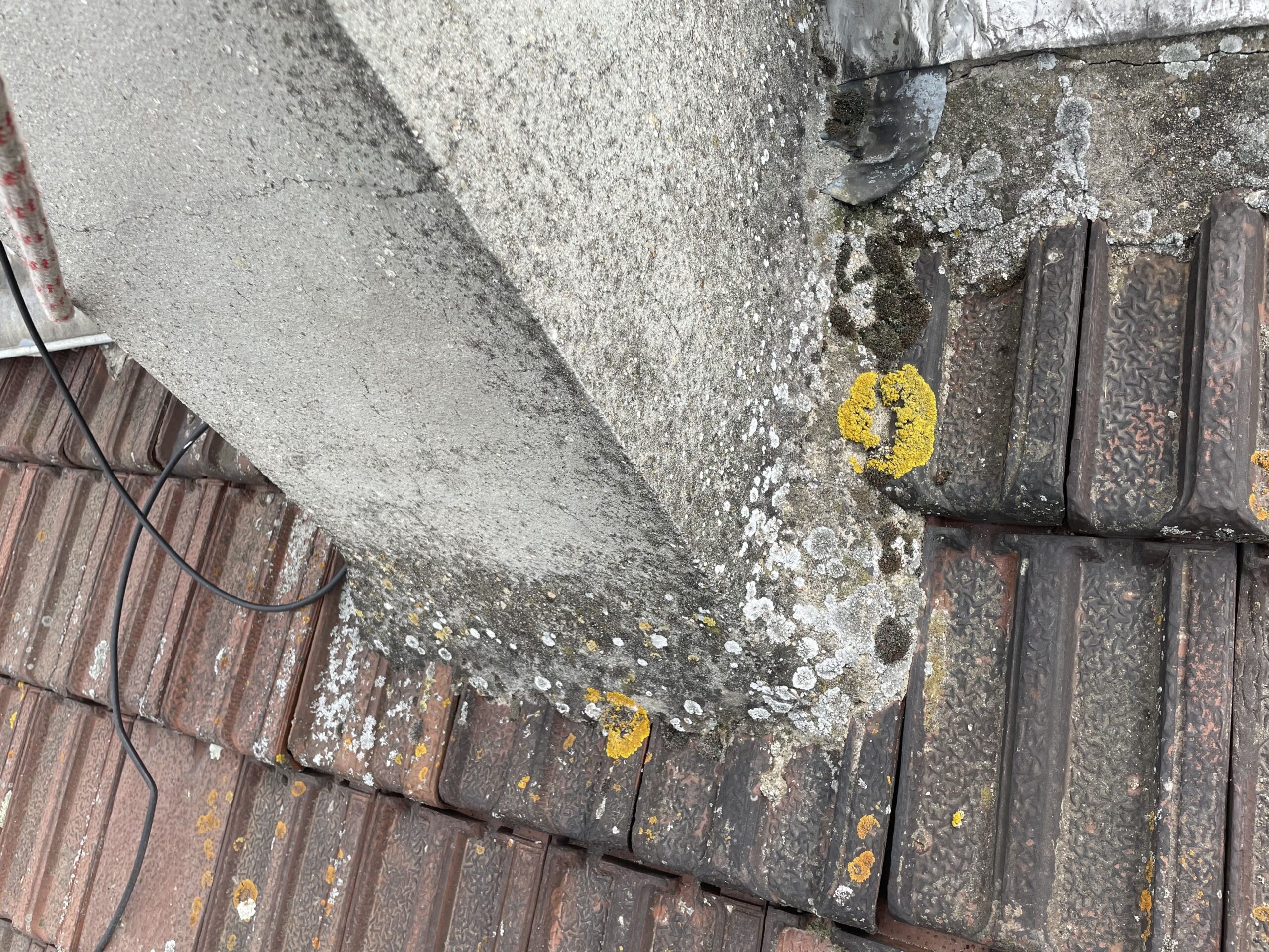 Couvreurs, charpentiers, zingueurs, peintres, façadiers et ramoneurs à Bois d'Arcy (78390) dans les Yvelines (78)