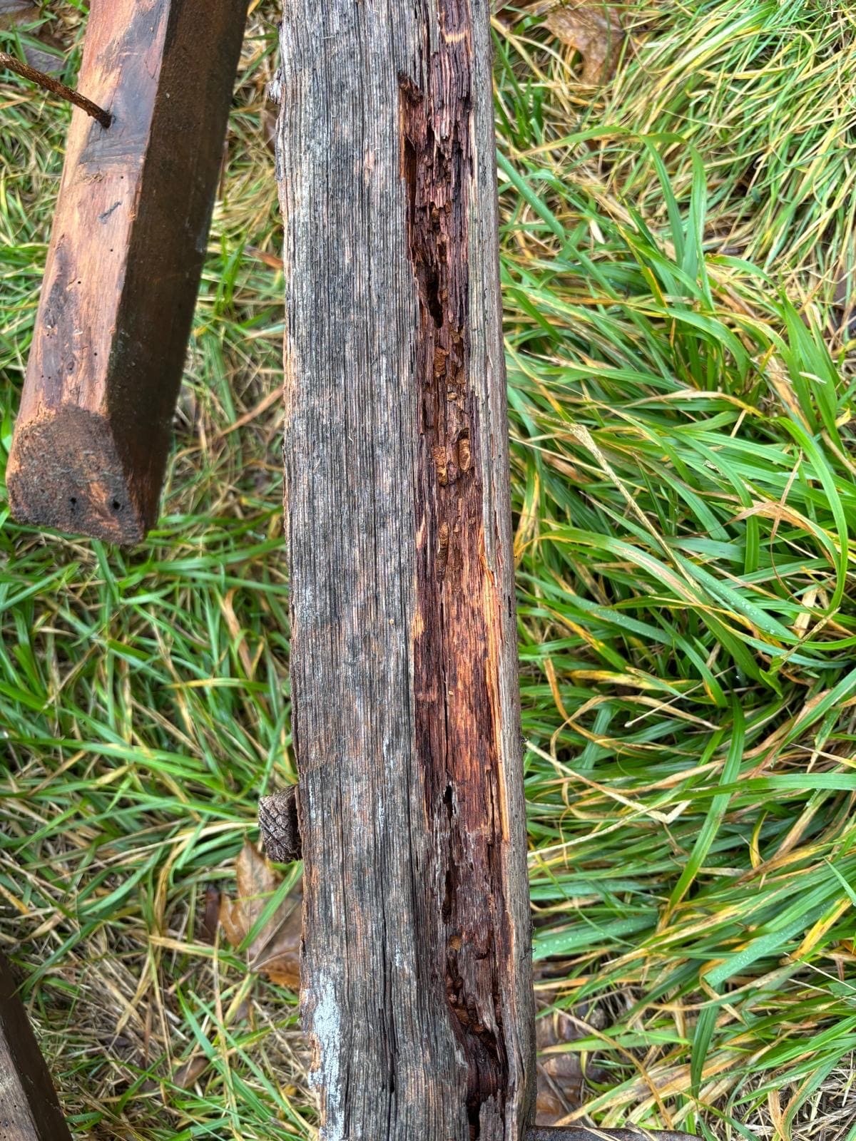 Couvreurs, charpentiers, zingueurs, peintres, façadiers et ramoneurs à Bois d'Arcy (78390) dans les Yvelines (78)